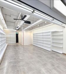 Alkaff Lakeview (D13), Shop House #634985741